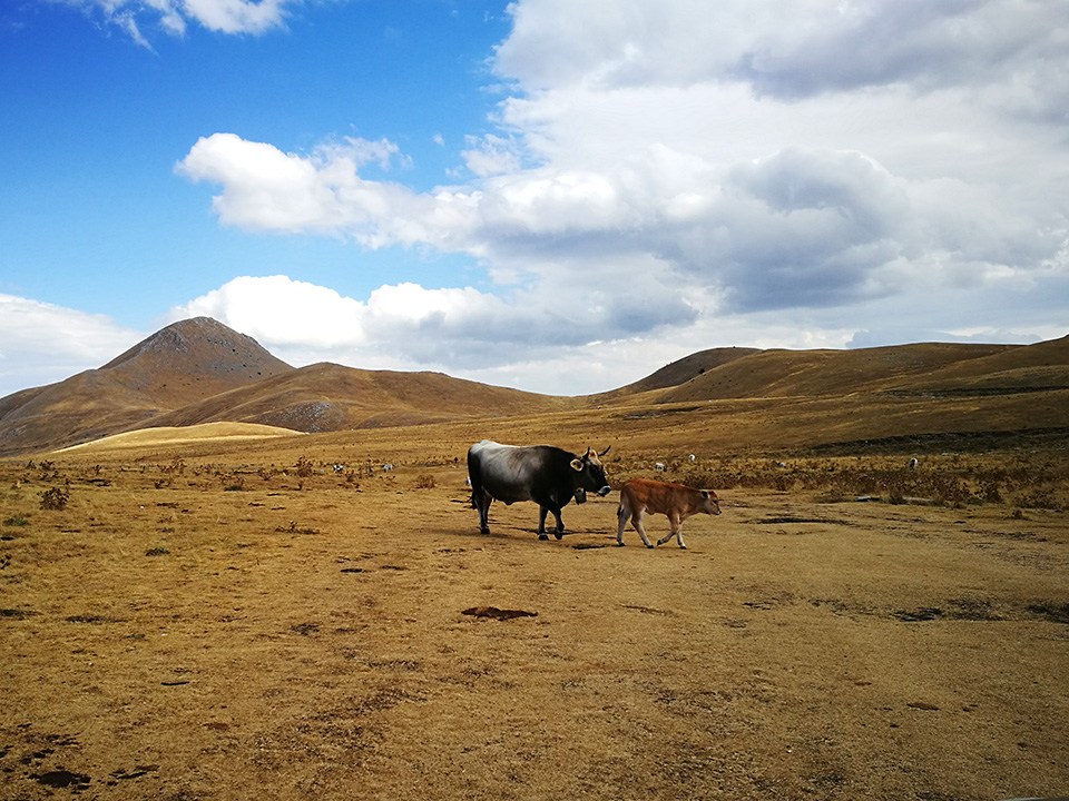 Campo Imperatore