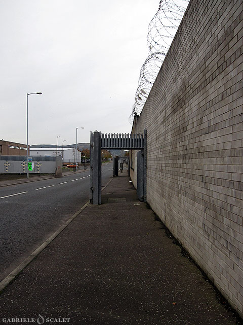 murals