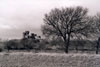Panoramica del castello