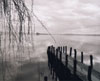 Moletto nel lago di Bolsena