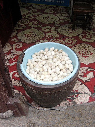 bachi da seta