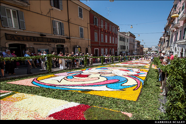 Infiorata di Genzano 2013
