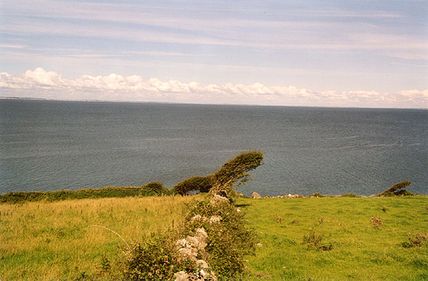 Irish Wind