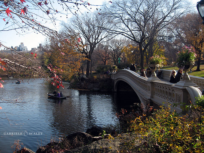 bridge central park