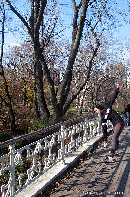 fitness central park