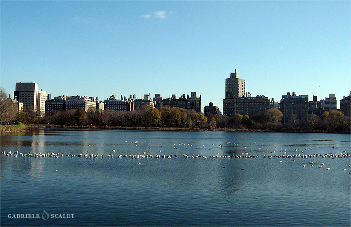 lake central park