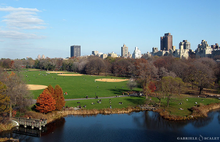 panoramica central park