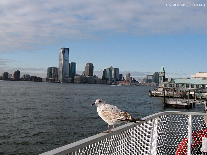 Statue of Liberty