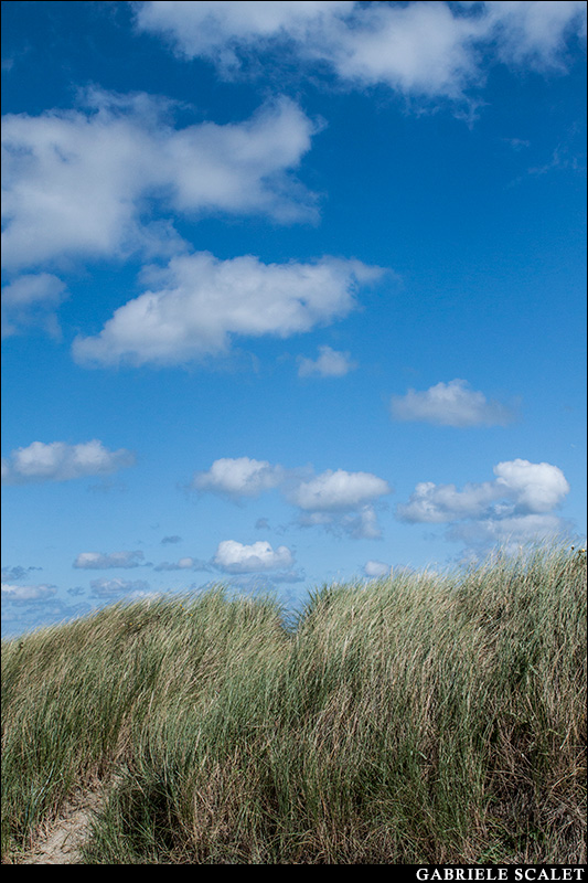 Mare dune