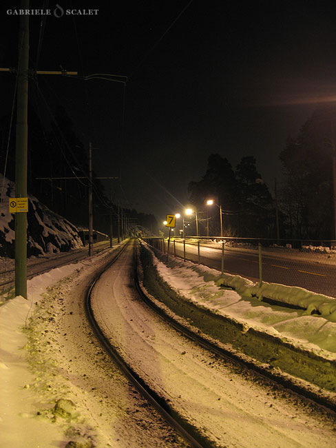 Rotaie del tram