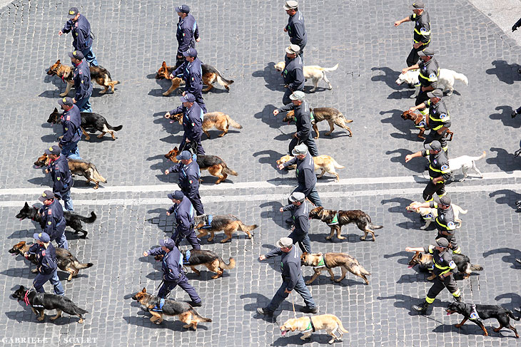 Parata Militare
