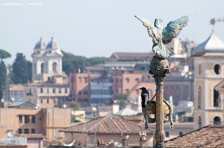 vista di Roma dal Vittoriano
