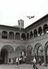 sbandieratori contrada dell'oca