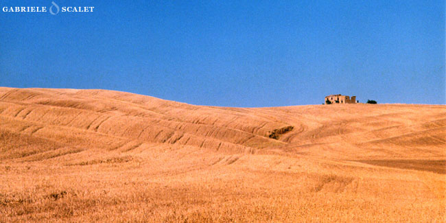 Tuscany farm holidays