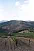 panorama vigne